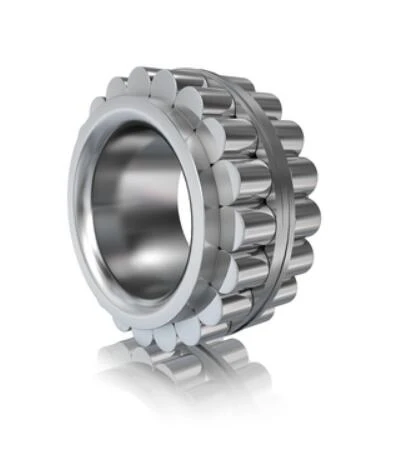 RSL40x56,09x28-XL-RV-DP-Cylindrical Cov Menyuam Bearing
