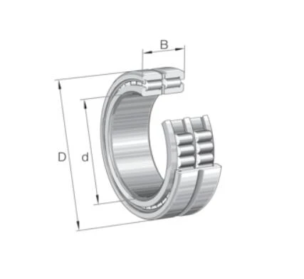 SL185056-TB-BR-C3-Cylindrical Roller Bearing